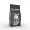 Prominent DOG ADULT LARGE BREED 12 kg