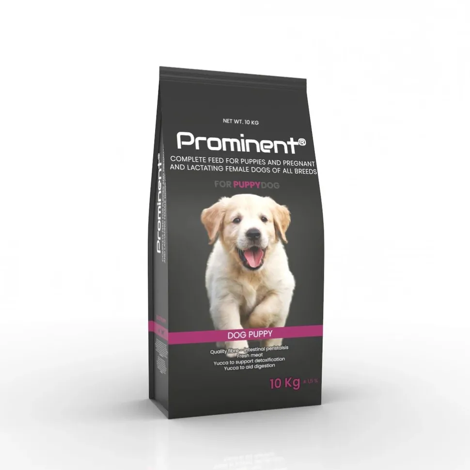 Prominent DOG PUPPY 10KG